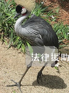 法律援助中心卷宗封皮 法律援助中心卷宗封皮