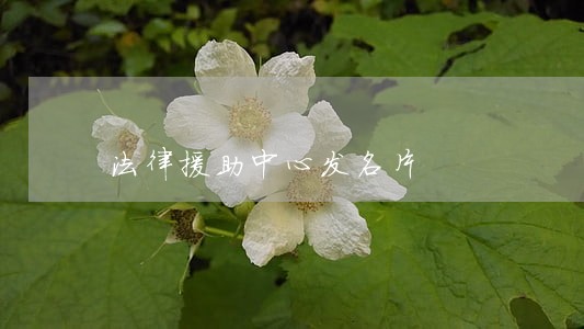 法律援助中心发名片 法律援助中心发名片