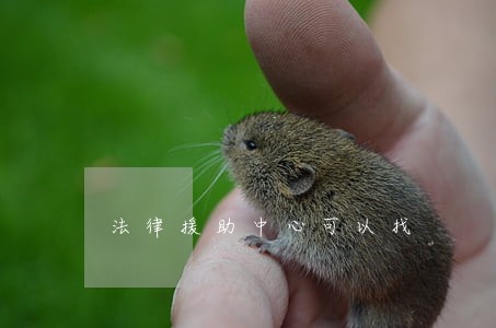 法律援助中心可以找 法律援助中心可以找