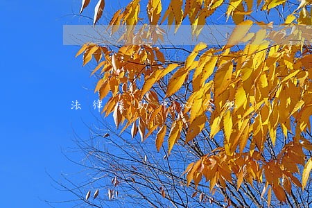 法律援助中心合肥 法律援助中心合肥