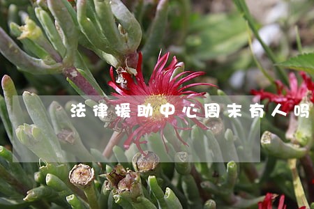 法律援助中心周末有人吗 法律援助中心周末有人吗