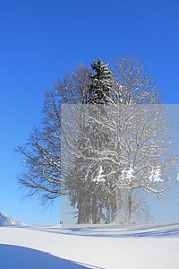 法律援助中心咨询免费条件 法律援助中心咨询免费条件