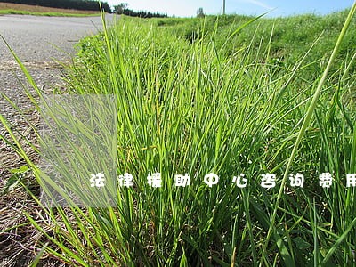 法律援助中心咨询费用 法律援助中心咨询费用