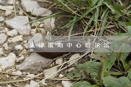 法律援助中心哈尔滨 法律援助中心哈尔滨