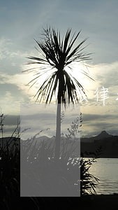 法律援助中心在哪里 法律援助中心在哪里