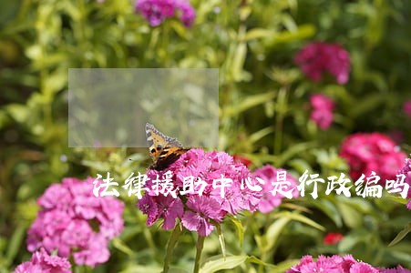 法律援助中心是行政编吗