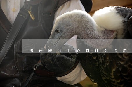 法律援助中心有什么作用 法律援助中心有什么作用