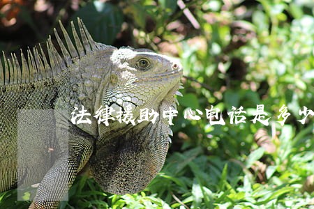 法律援助中心电话是多少 法律援助中心电话是多少