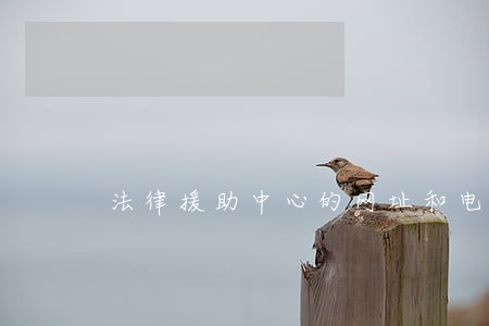 法律援助中心的网址和电话 法律援助中心的网址和电话