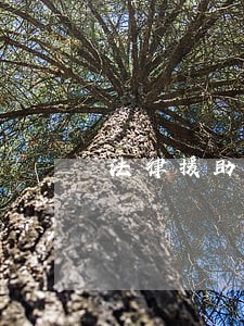 法律援助中心靠谱吗 法律援助中心靠谱吗