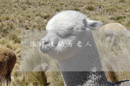法律援助为老人 法律援助为老人