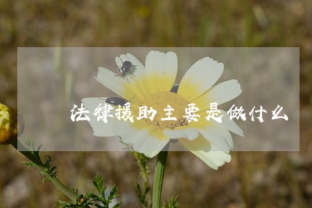 法律援助主要是做什么