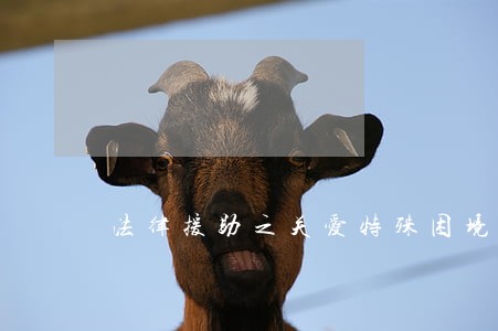 法律援助之关爱特殊困境儿童
