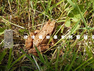 法律援助事务所要钱不 法律援助事务所要钱不