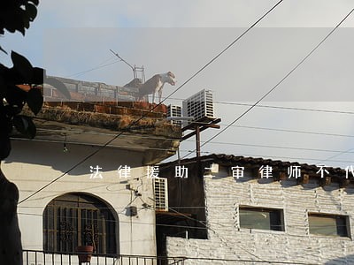 法律援助二审律师不代理了 法律援助二审律师不代理了