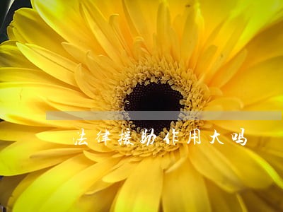 法律援助作用大吗 法律援助作用大吗