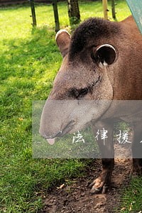 法律援助便民利民举措 法律援助便民利民举措