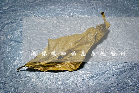 法律援助信息系统培训