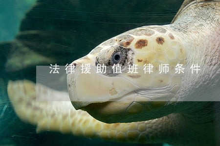 法律援助值班律师条件 法律援助值班律师条件