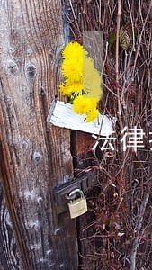 法律援助免费咨询临沂 法律援助免费咨询临沂