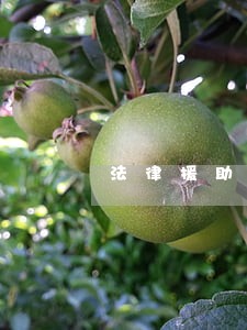 法律援助六十岁免费条件 法律援助六十岁免费条件