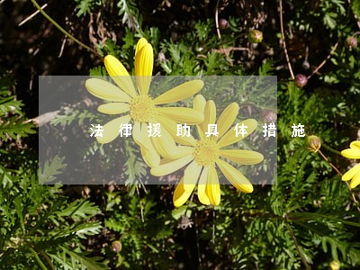 法律援助具体措施