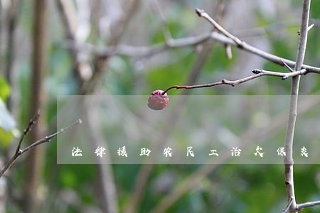 法律援助农民工治欠保支 法律援助农民工治欠保支