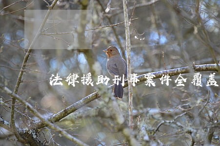 法律援助刑事案件全覆盖实施 法律援助刑事案件全覆盖实施