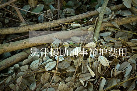 法律援助刑事辩护费用 法律援助刑事辩护费用