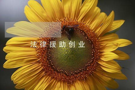 法律援助创业