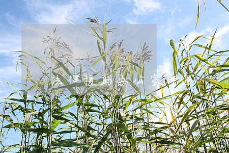 法律援助办公室待遇 法律援助办公室待遇
