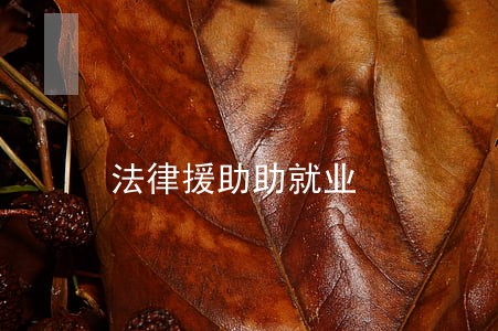 法律援助助就业 法律援助助就业