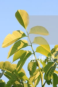 法律援助劳动官司 法律援助劳动官司