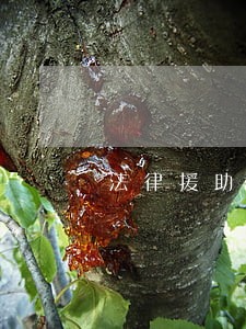 法律援助北京电话 法律援助北京电话