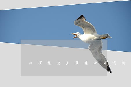 法律援助发展建设的调研 法律援助发展建设的调研