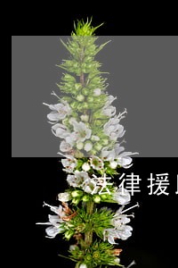 法律援助取证