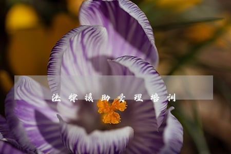 法律援助受理培训 法律援助受理培训