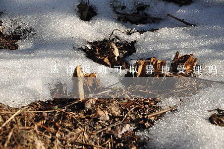 法律援助可以异地受理吗 法律援助可以异地受理吗