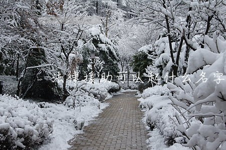 法律援助可以起什么名字 法律援助可以起什么名字