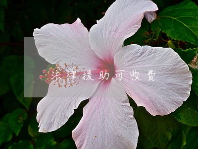 法律援助可收费 法律援助可收费