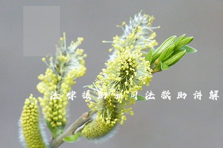 法律援助和司法救助讲解 法律援助和司法救助讲解