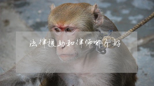法律援助和律师哪个好