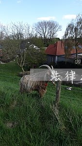 法律援助咨询哪家靠谱 法律援助咨询哪家靠谱