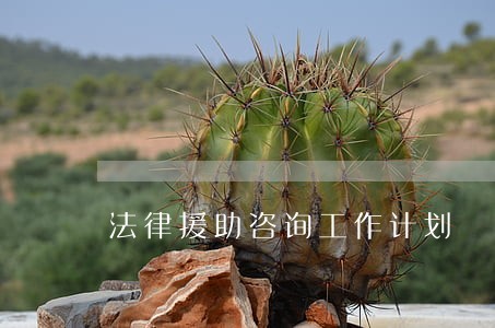 法律援助咨询工作计划
