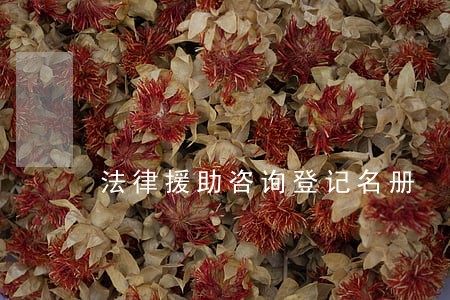法律援助咨询登记名册 法律援助咨询登记名册