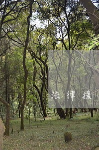 法律援助四个自信