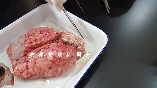 法律援助四提升 法律援助四提升