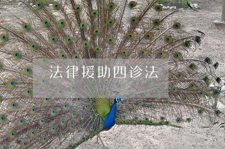 法律援助四诊法 法律援助四诊法