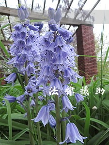 法律援助困境 法律援助困境