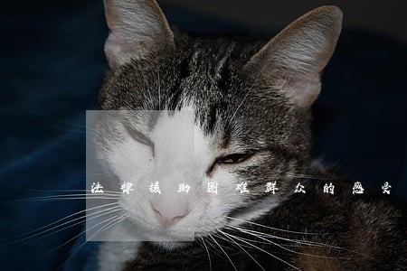 法律援助困难群众的感受 法律援助困难群众的感受